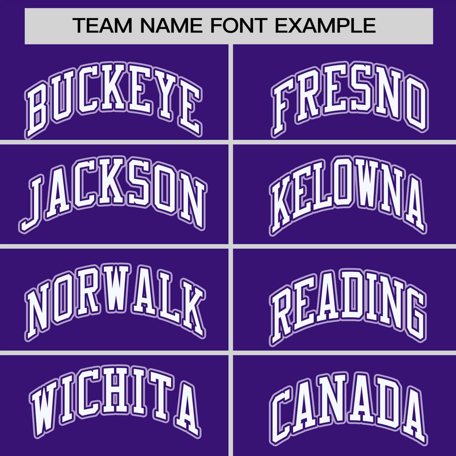 Custom Purple Light Purple-White Raglan Sleeves Varsity Full-Snap Letterman Jacket