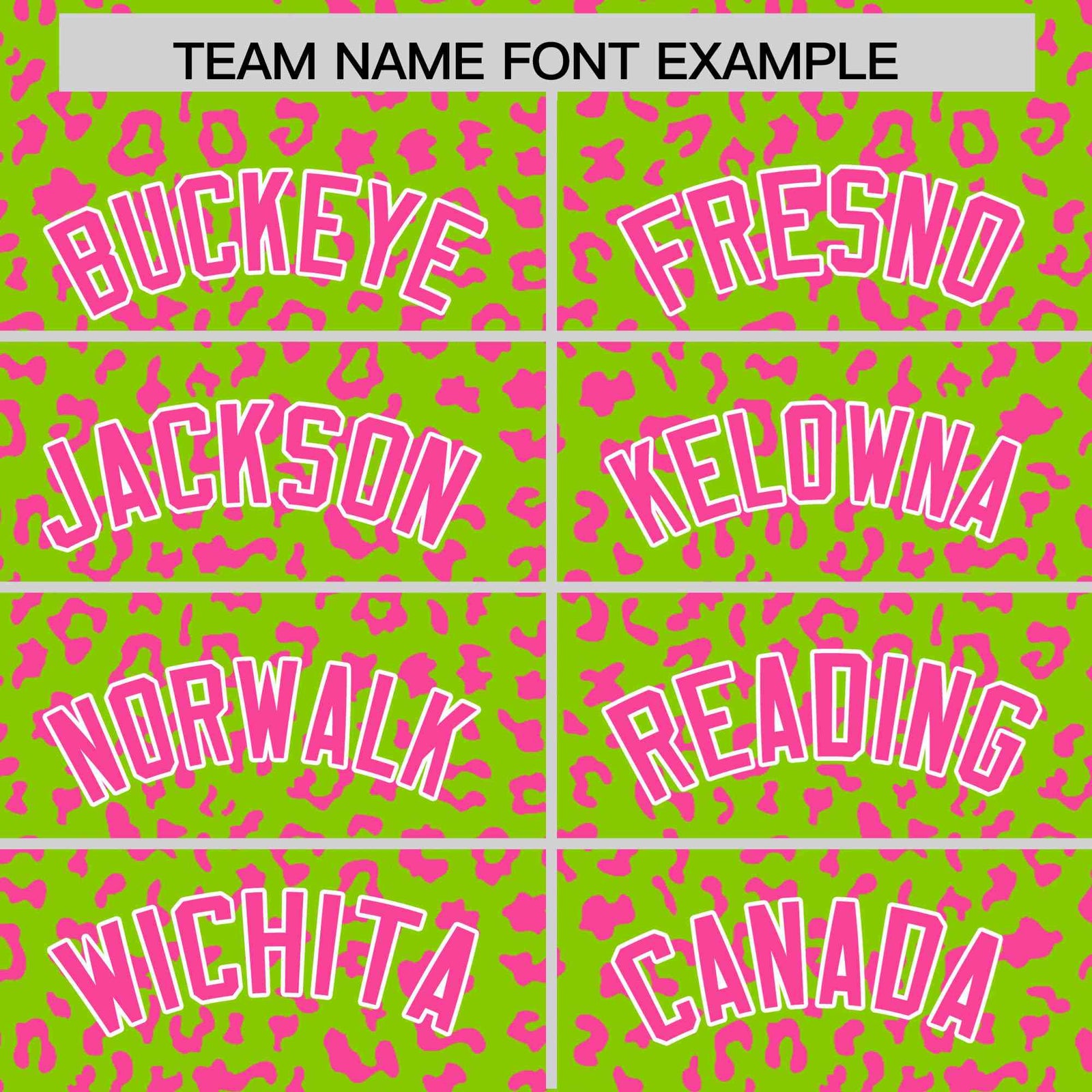 Custom Neon Green Pink Varsity Full-Zip Letterman Leopard Print Hoodie Jacket