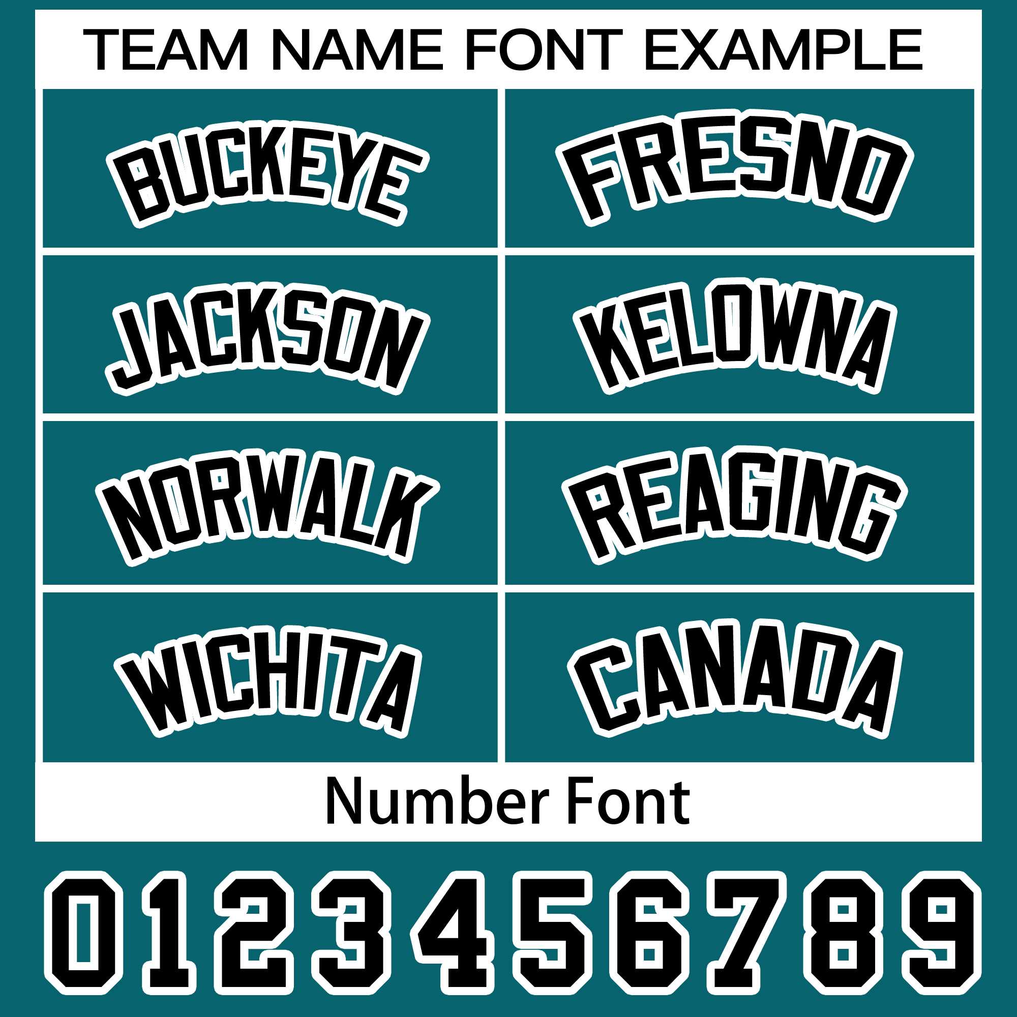 Custom Aqua Black-White Classic Style Dog Jersey