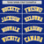 Custom Royal Blue Gold-White Varsity Full-Snap Color Block Letterman Jacket