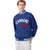 Custom Thunder Blue White-Red Bomber Full-Snap Varsity Letterman Jacket