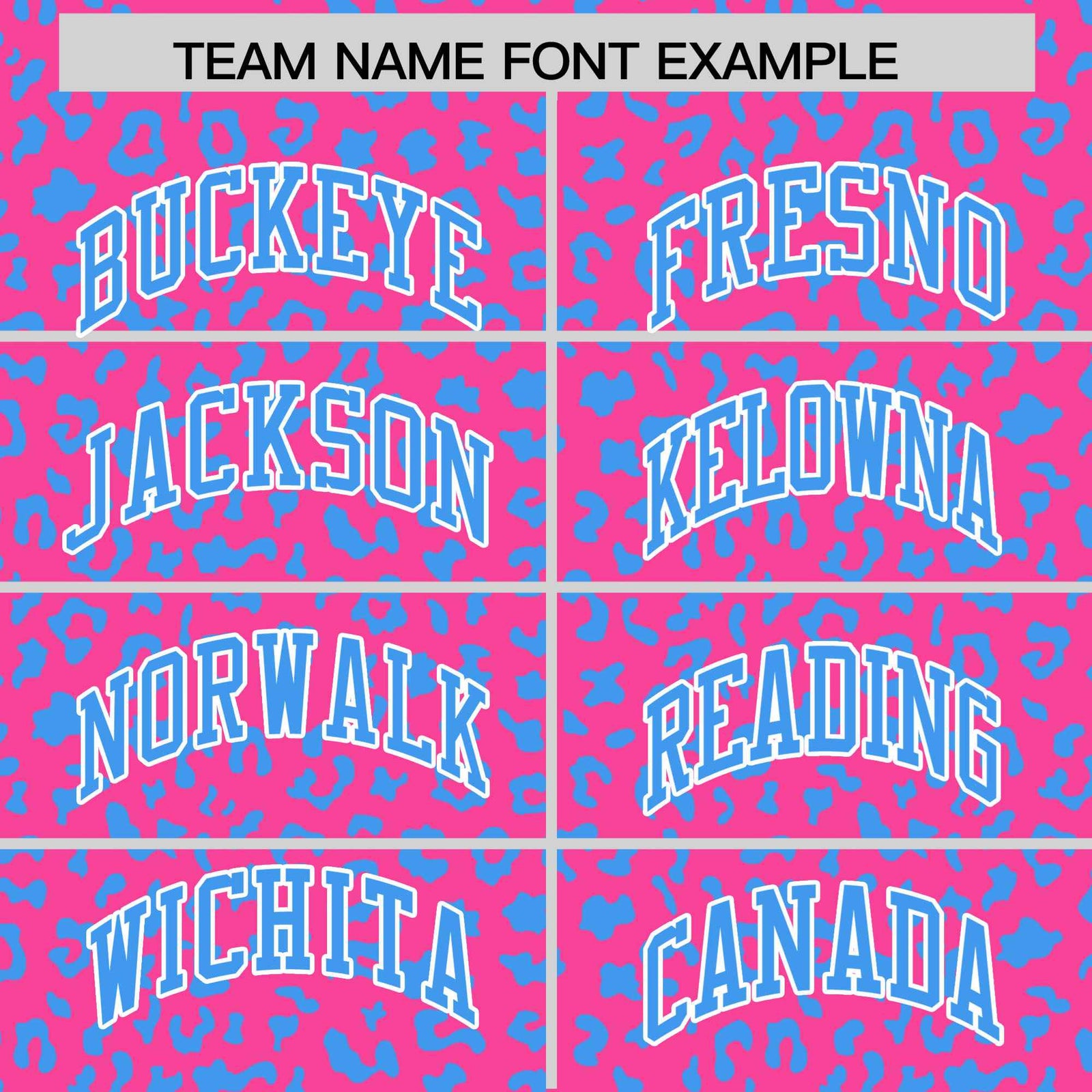 Custom Pink Powder Blue Varsity Full-Zip Letterman Leopard Print Hoodie Jacket