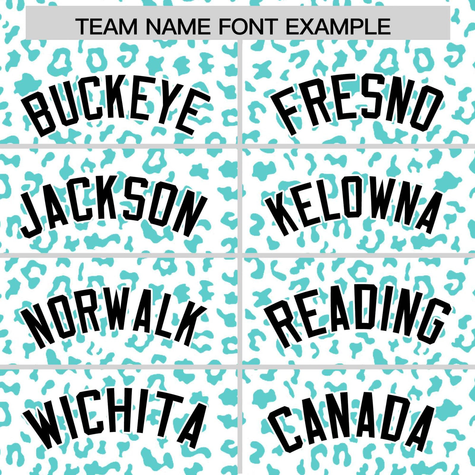 Custom White Aqua Varsity Full-Zip Letterman Leopard Print Hoodie Jacket