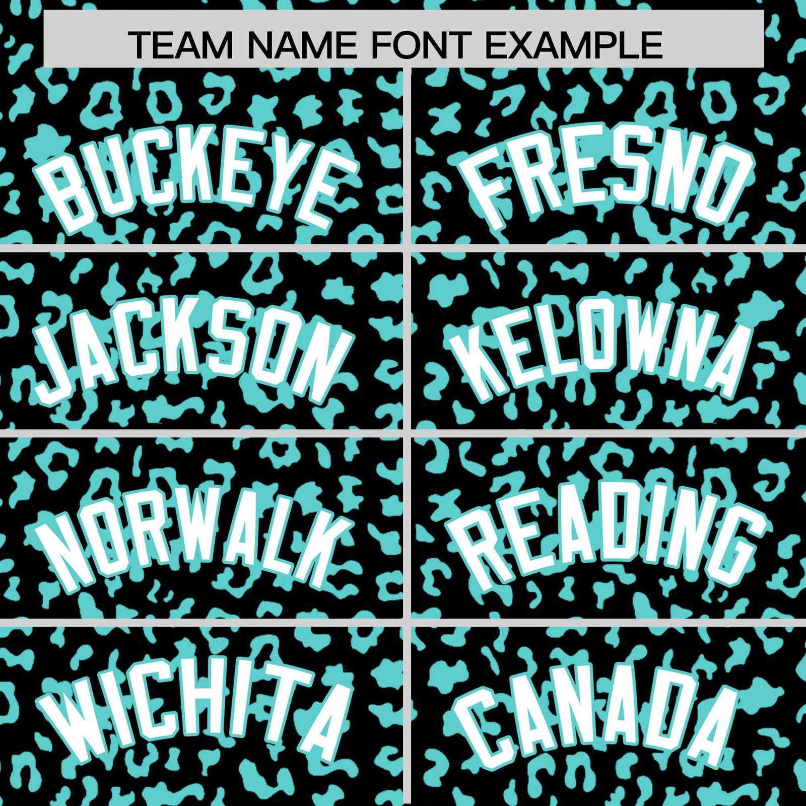 Custom Black Aqua Varsity Full-Zip Letterman Leopard Print Hoodie Jacket