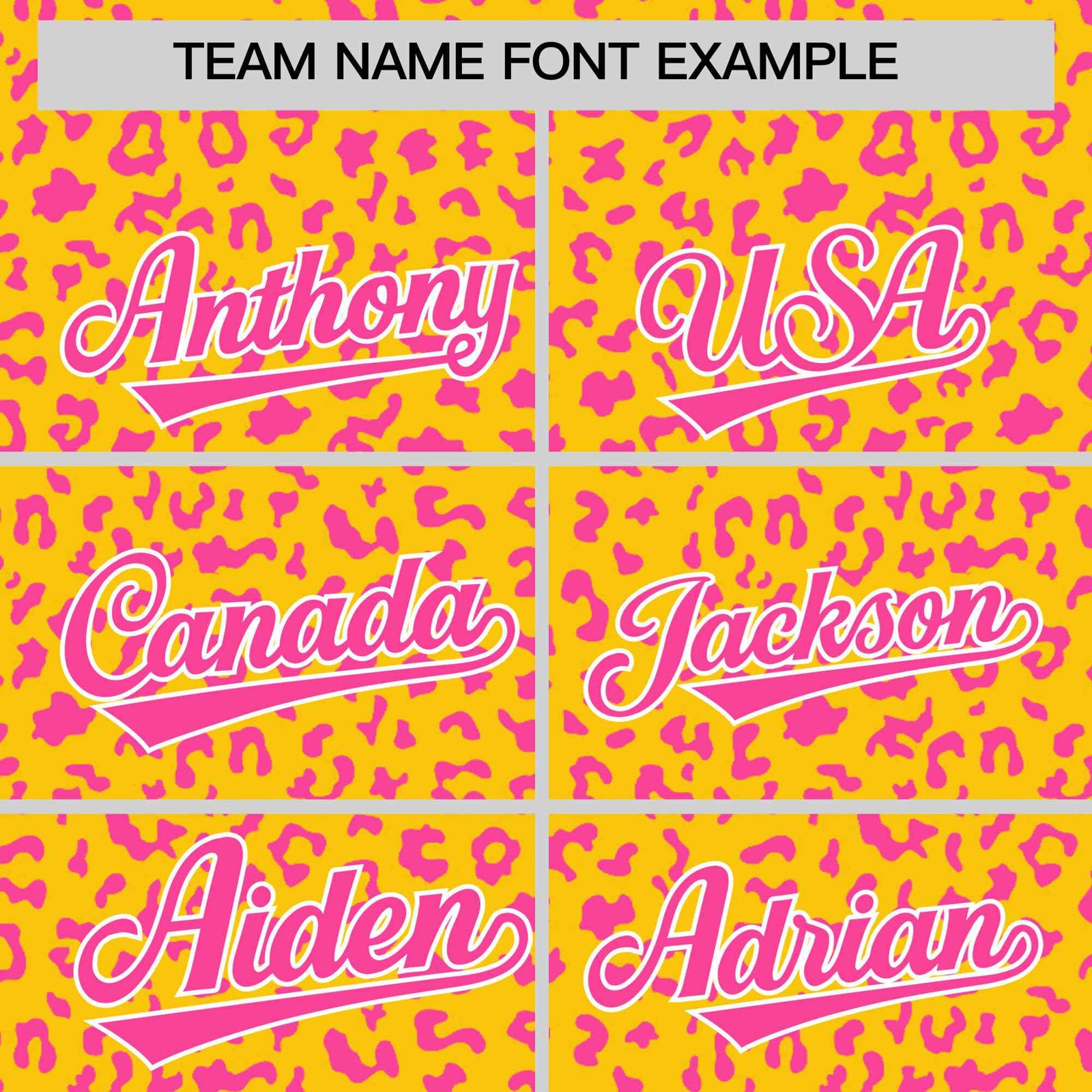 Custom Gold Pink Varsity Full-Zip Letterman Leopard Print Hoodie Jacket