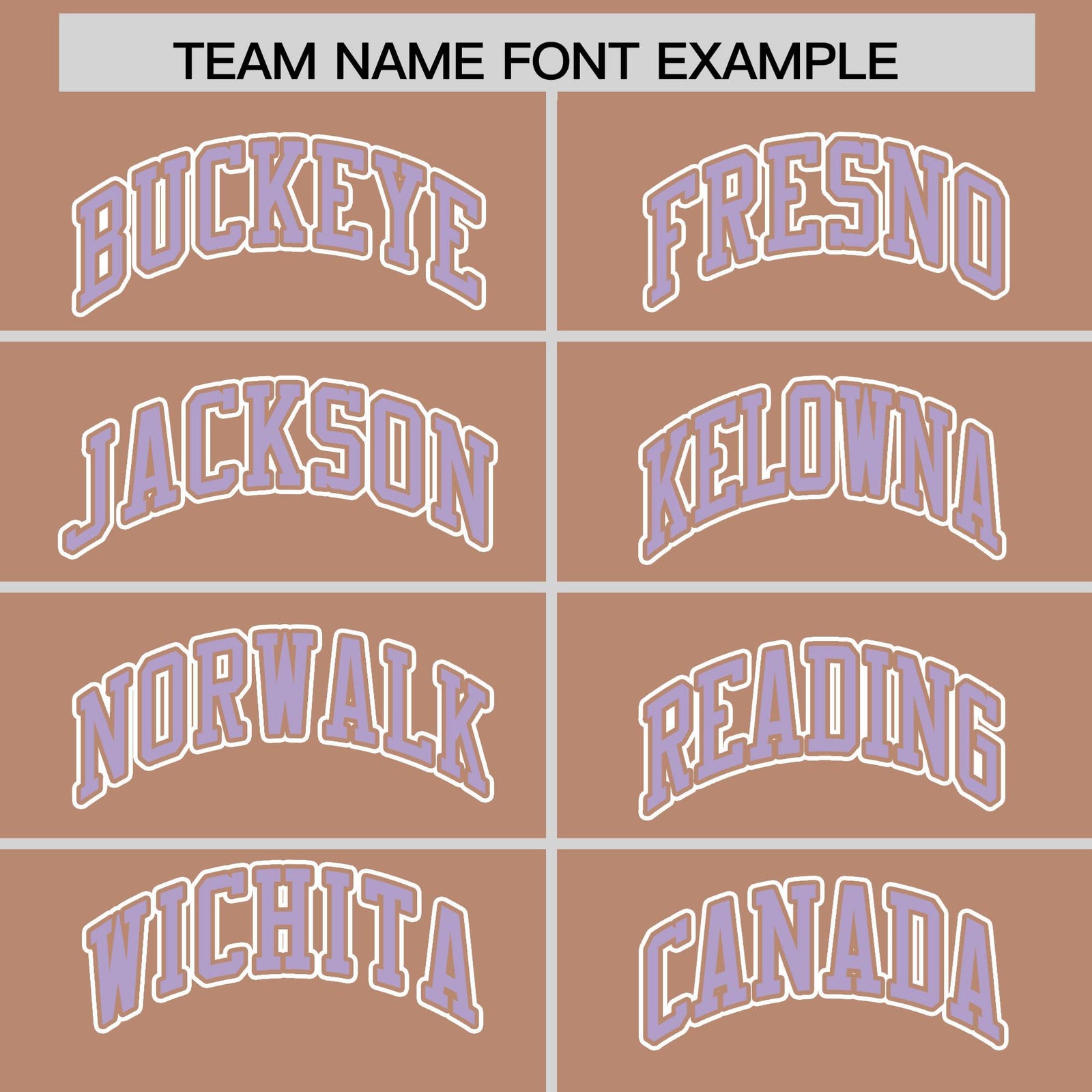 Custom Brown Light Purple Raglan Sleeves Varsity Full-Snap Letterman Two Tone Hoodie Jacket