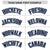 Custom White Navy Raglan Sleeves Varsity Full-Snap Letterman Two Tone Hoodie Jacket