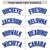 Custom White Royal Blue Raglan Sleeves Varsity Full-Snap Letterman Two Tone Hoodie Jacket