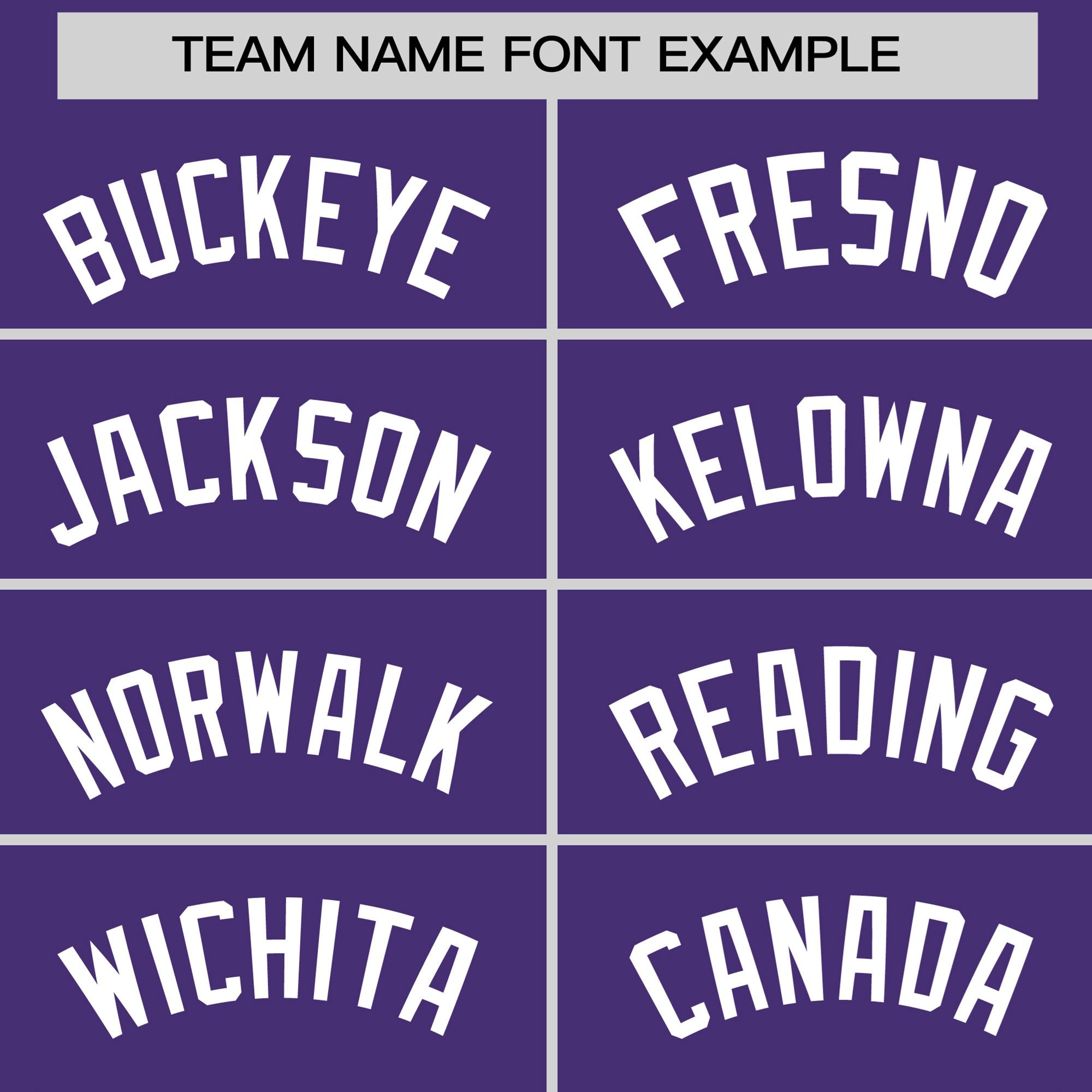 Custom Purple Gold01-White Color Block Design Performance T-Shirt