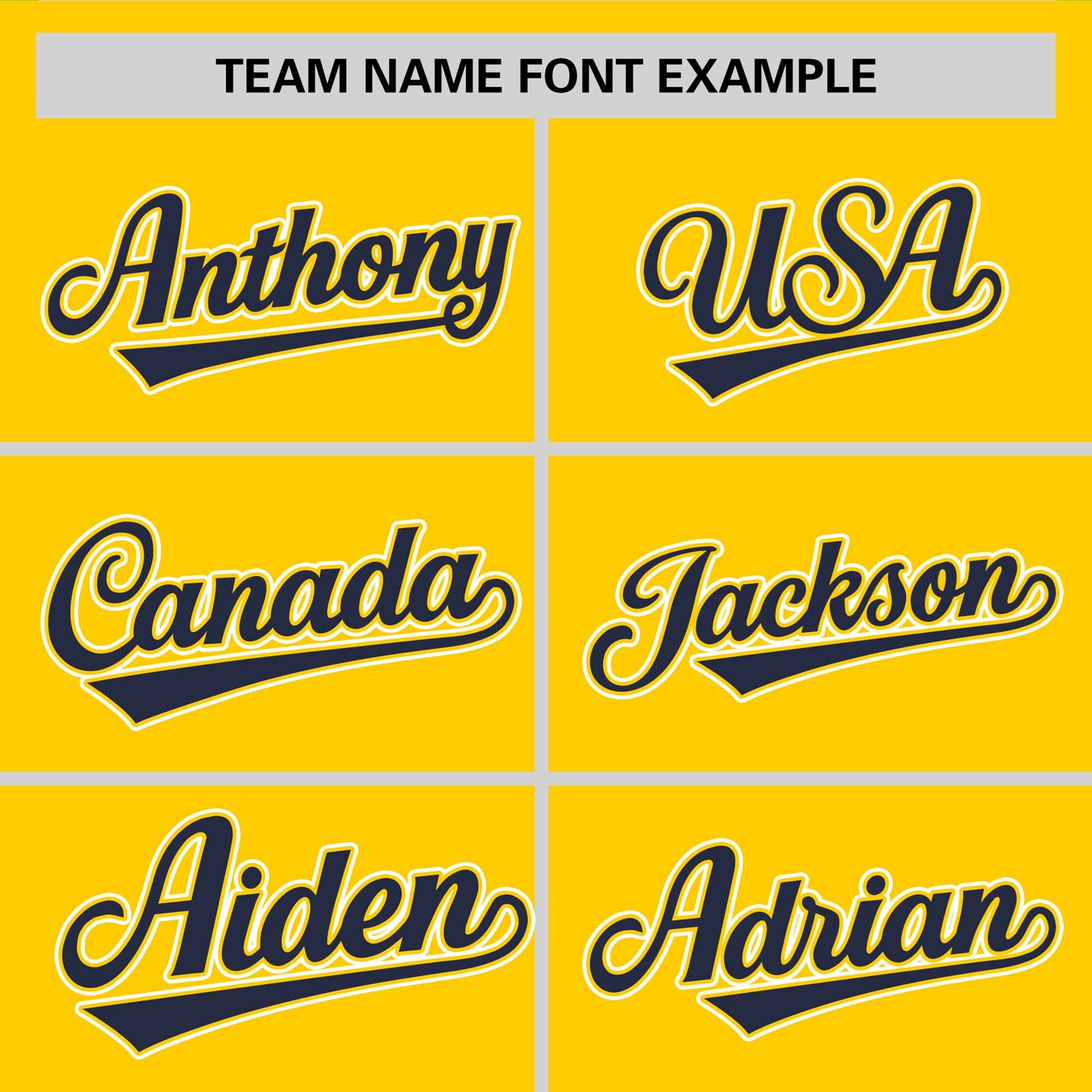 Custom Gold01 Navy-White Color Block Design Performance T-Shirt