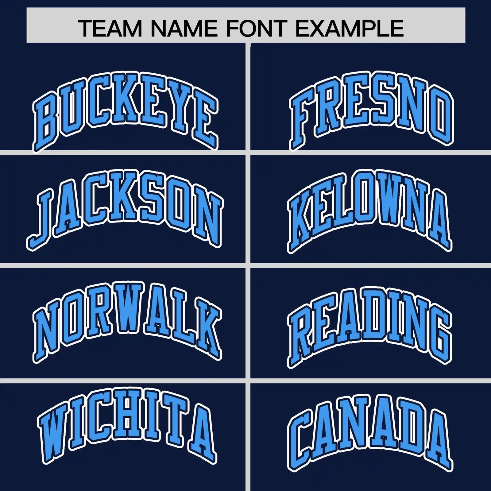 Custom Navy Powder Blue-White Performance T-Shirt