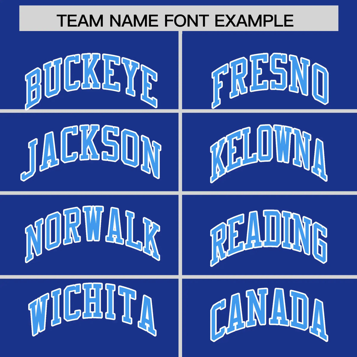 Custom Royal Blue Powder Blue-White Performance T-Shirt
