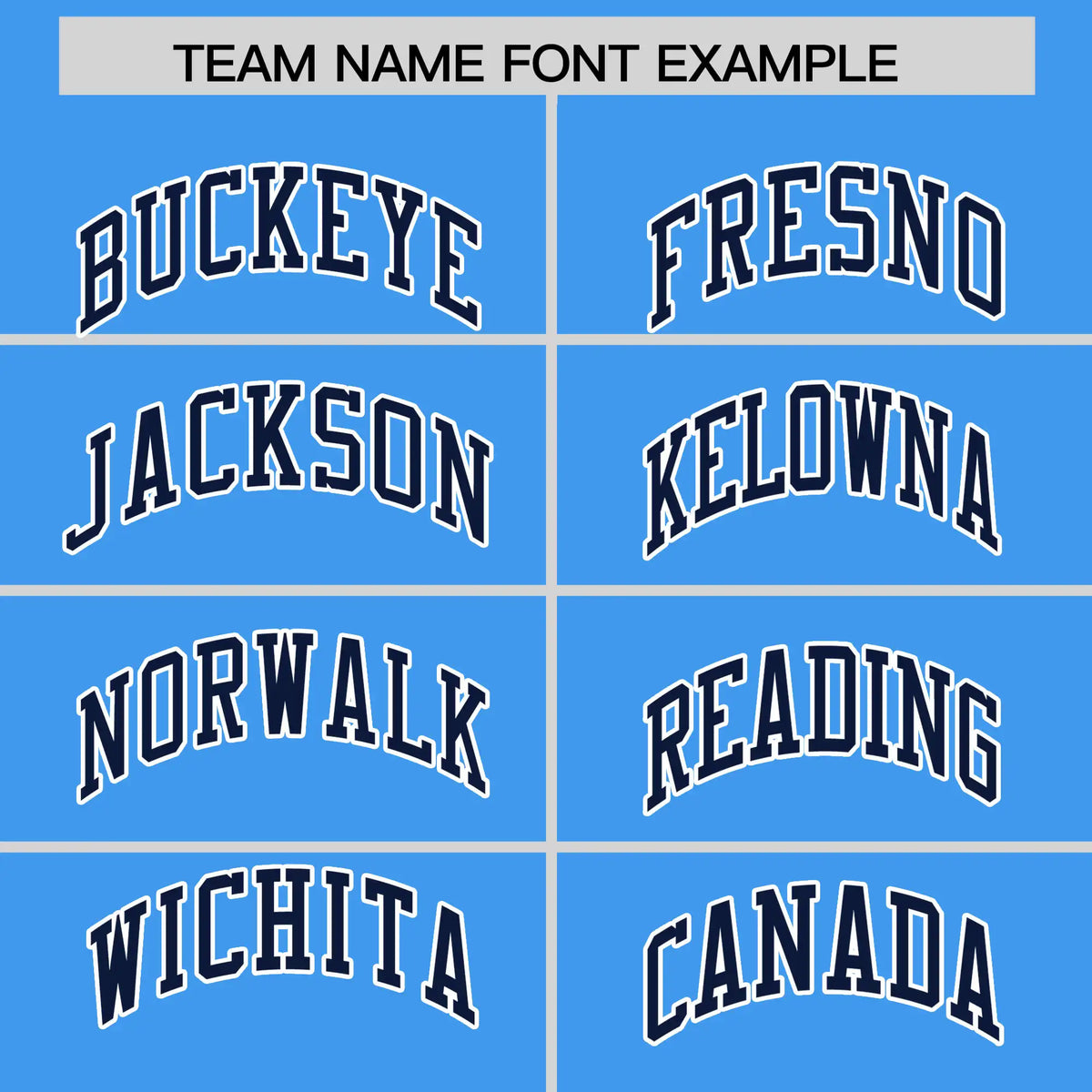 Custom Powder Blue Navy-White Performance T-Shirt