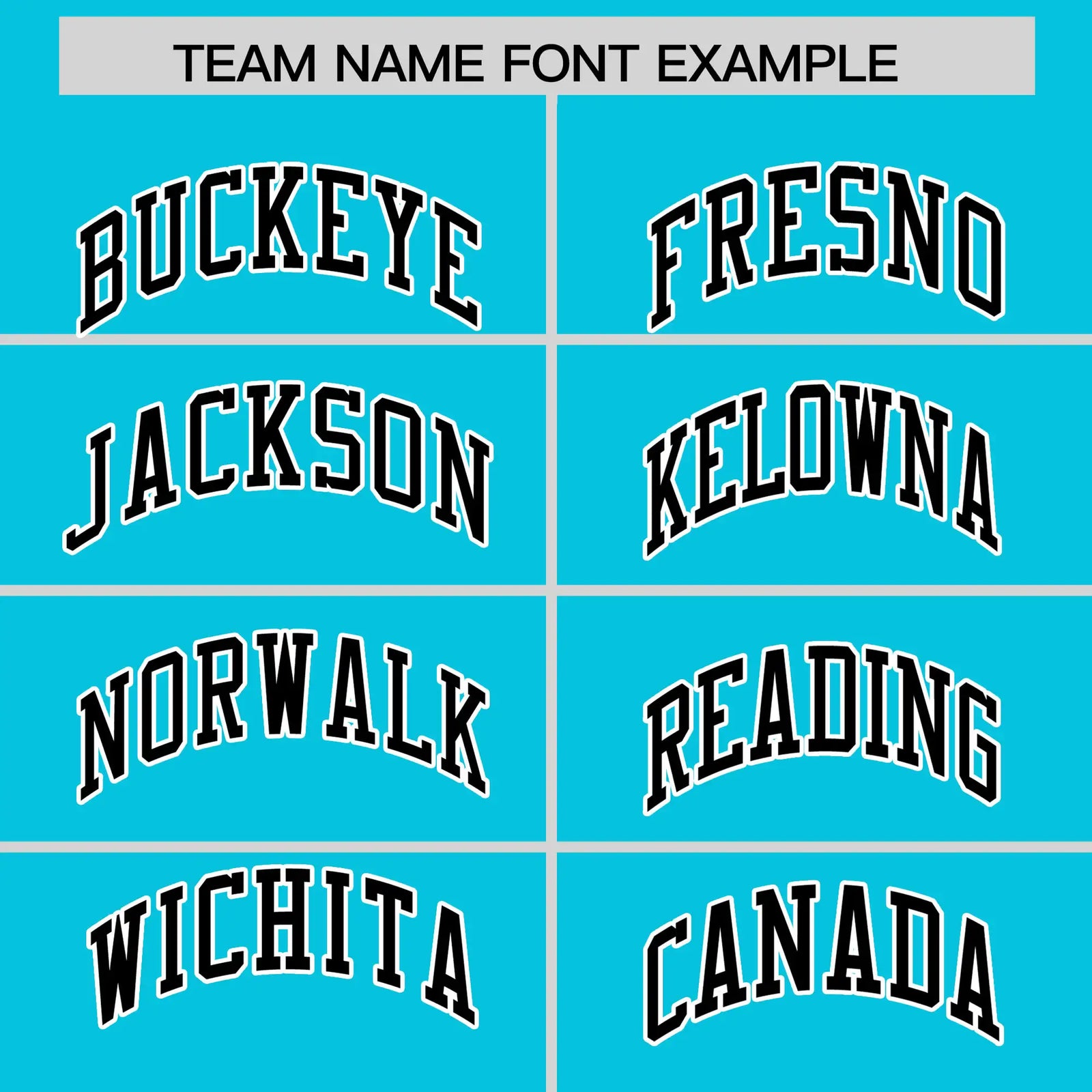 Custom Sky Blue Black-White Performance T-Shirt