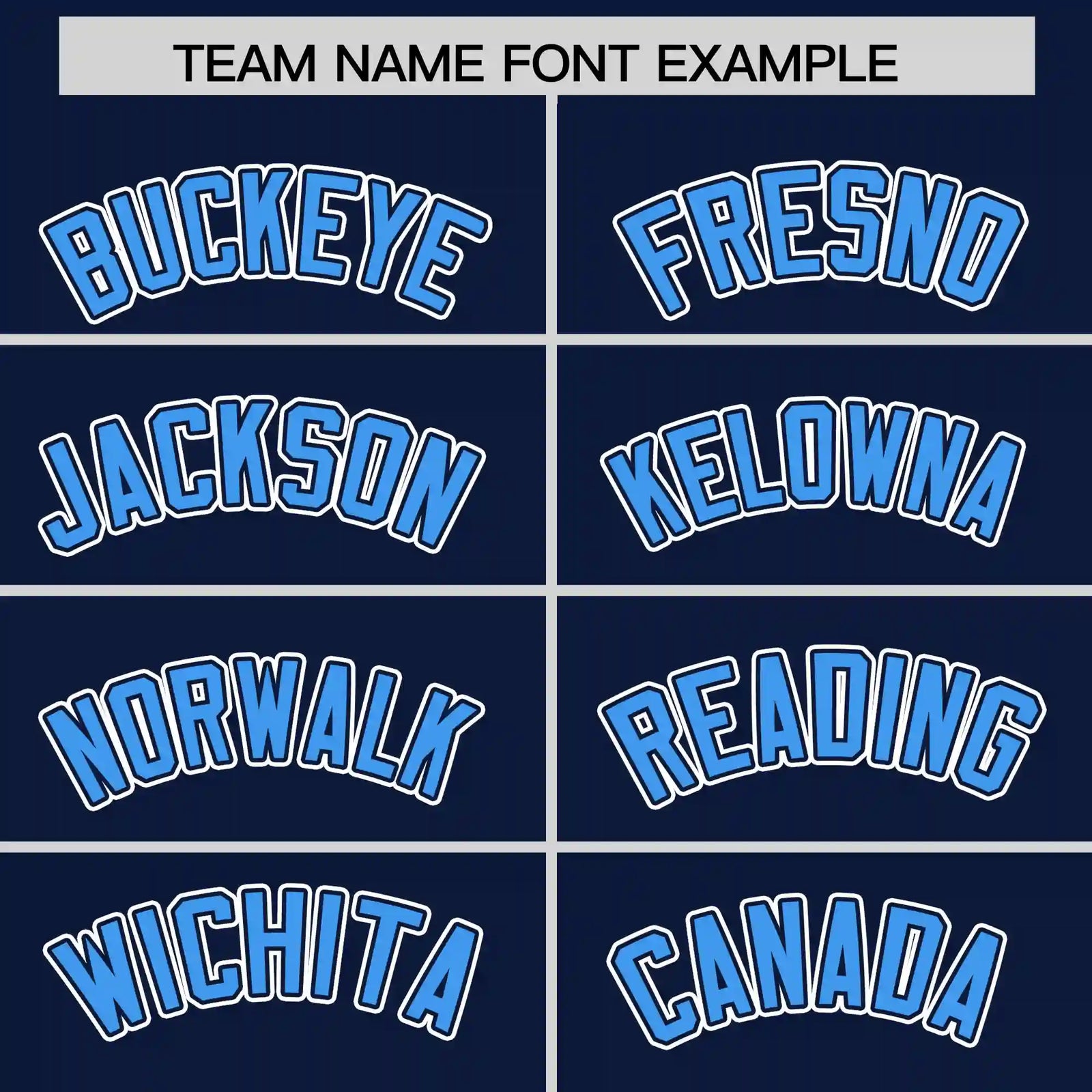 Custom Navy Powder Blue-White Performance T-Shirt