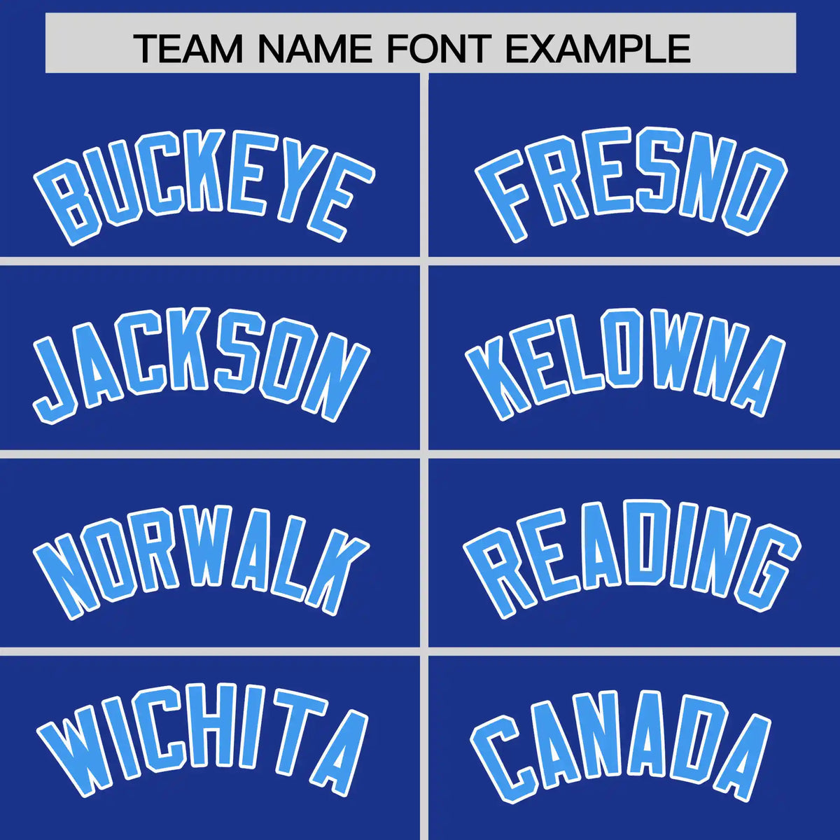 Custom Royal Blue Powder Blue-White Performance T-Shirt