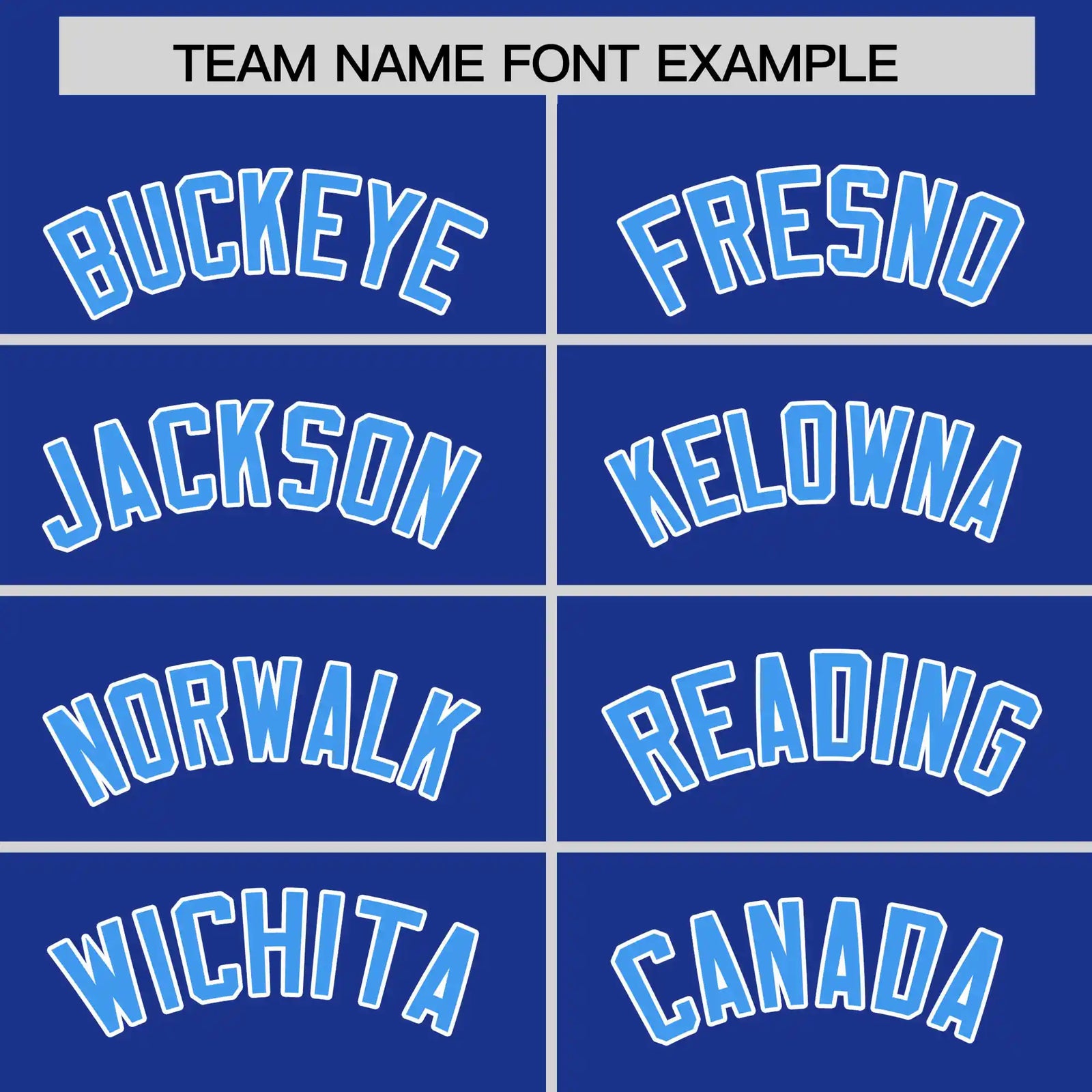 Custom Royal Blue Powder Blue-White Performance T-Shirt