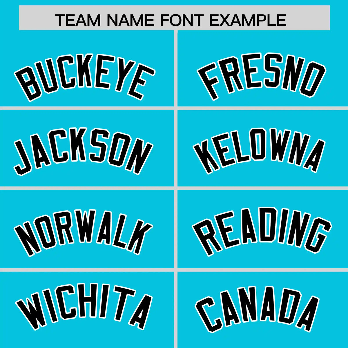 Custom Sky Blue Black-White Performance T-Shirt