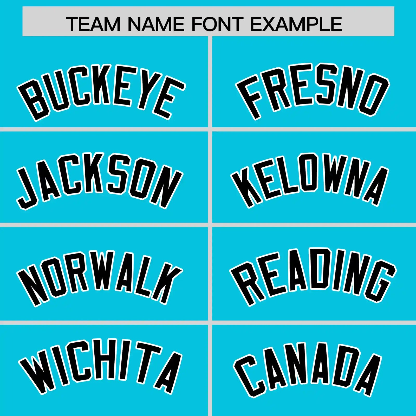Custom Sky Blue Black-White Performance T-Shirt