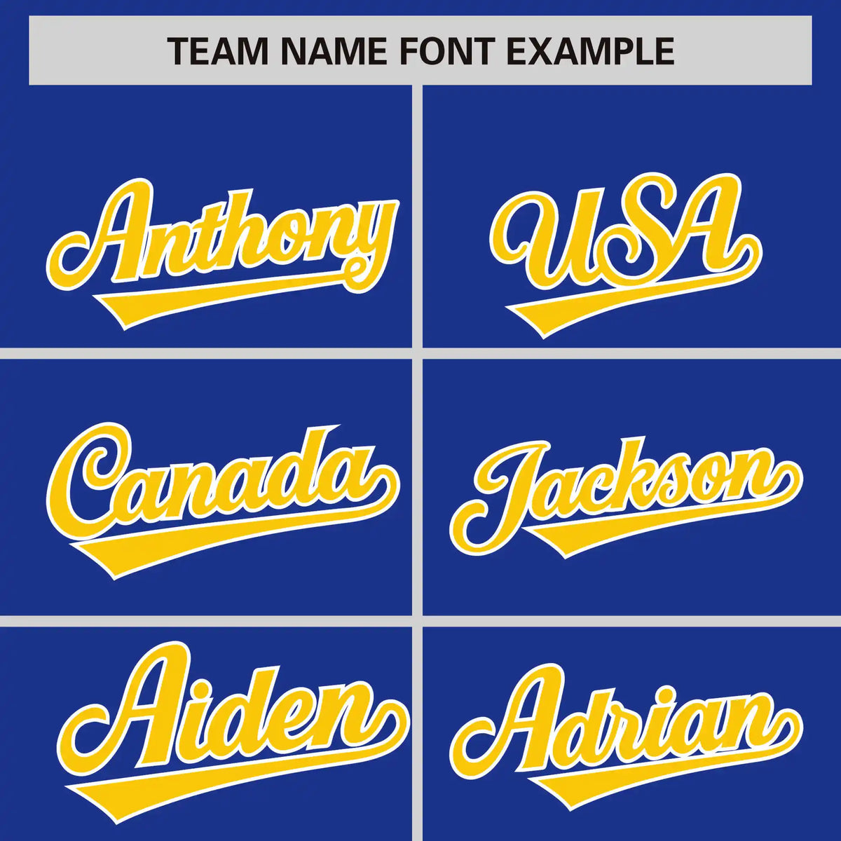 Custom Royal Blue Gold01-White Performance T-Shirt