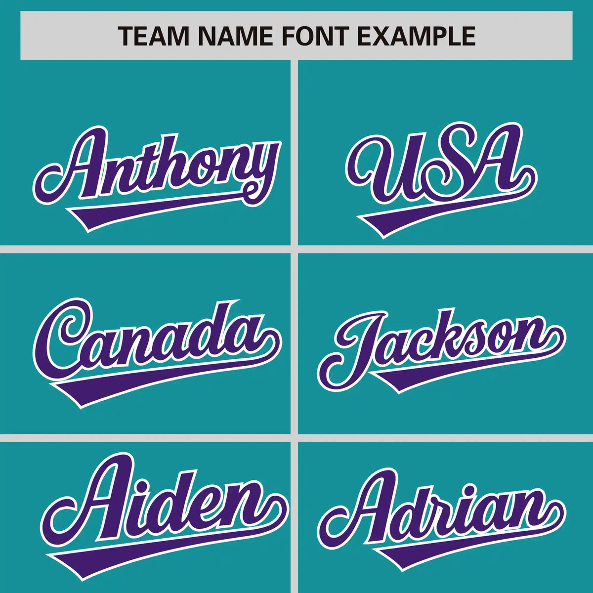 Custom Aqua Purple-White Performance T-Shirt