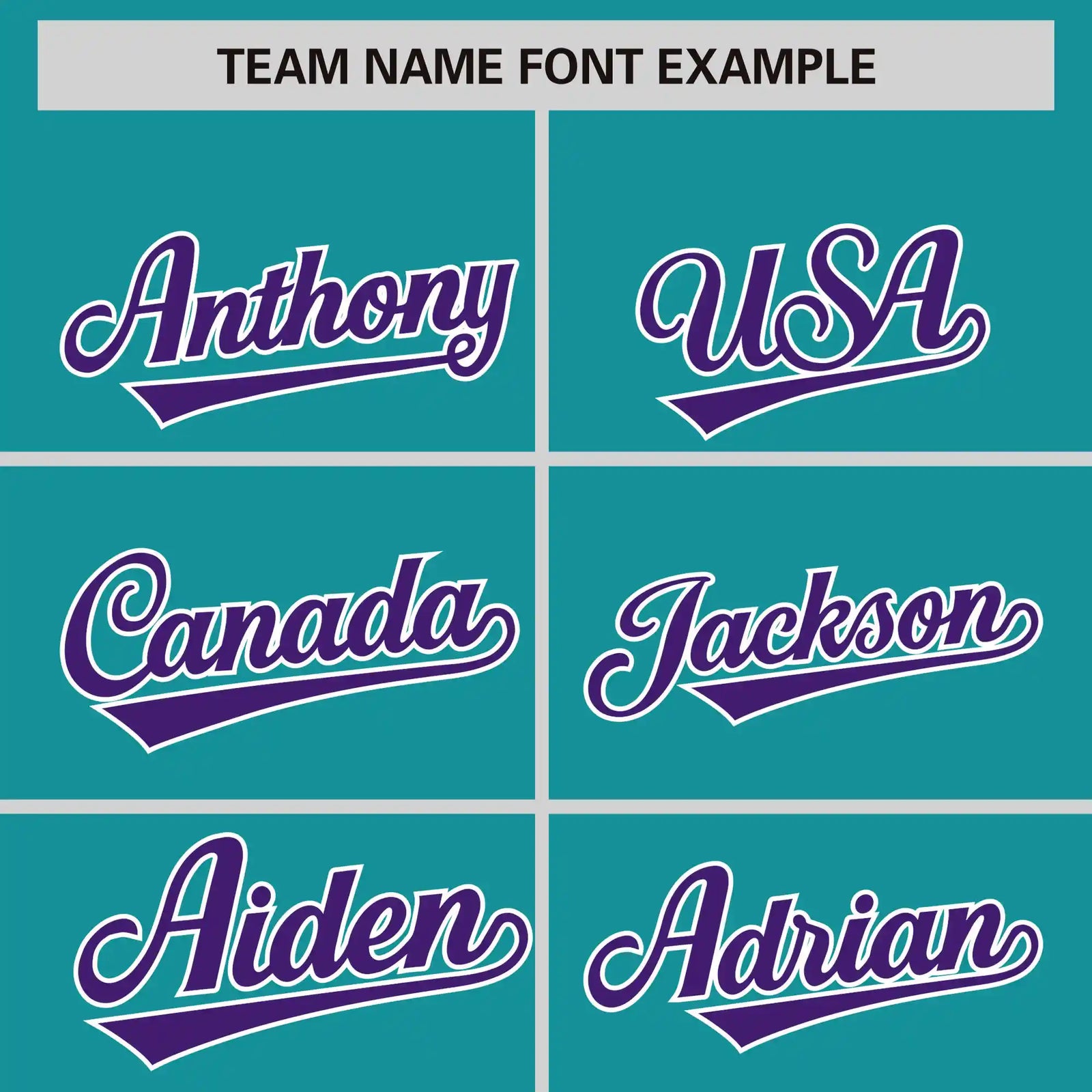 Custom Aqua Purple-White Performance T-Shirt