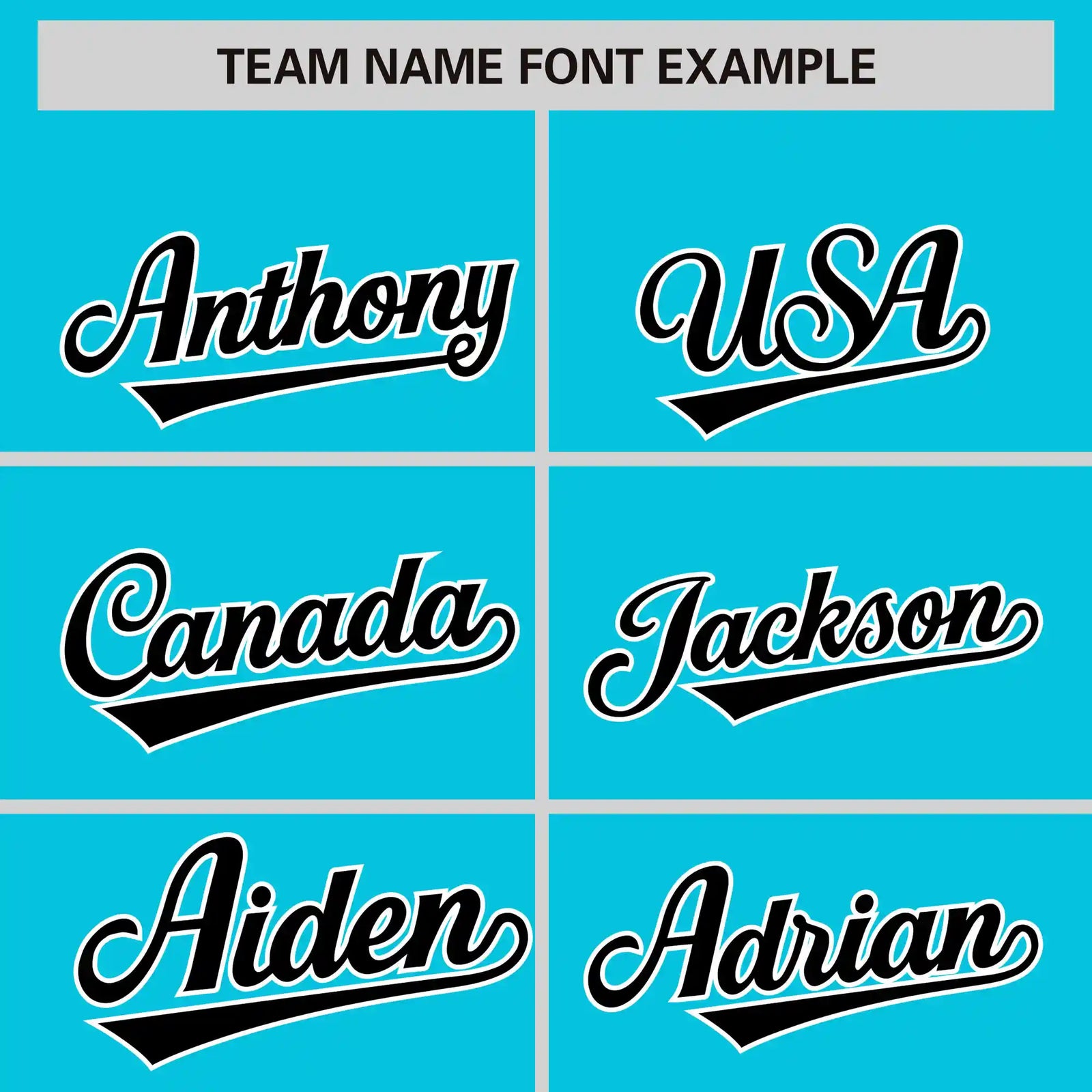 Custom Sky Blue Black-White Performance T-Shirt