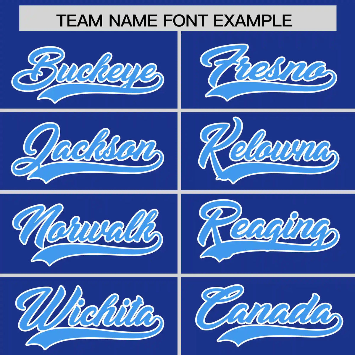 Custom Royal Blue Powder Blue-White Performance T-Shirt