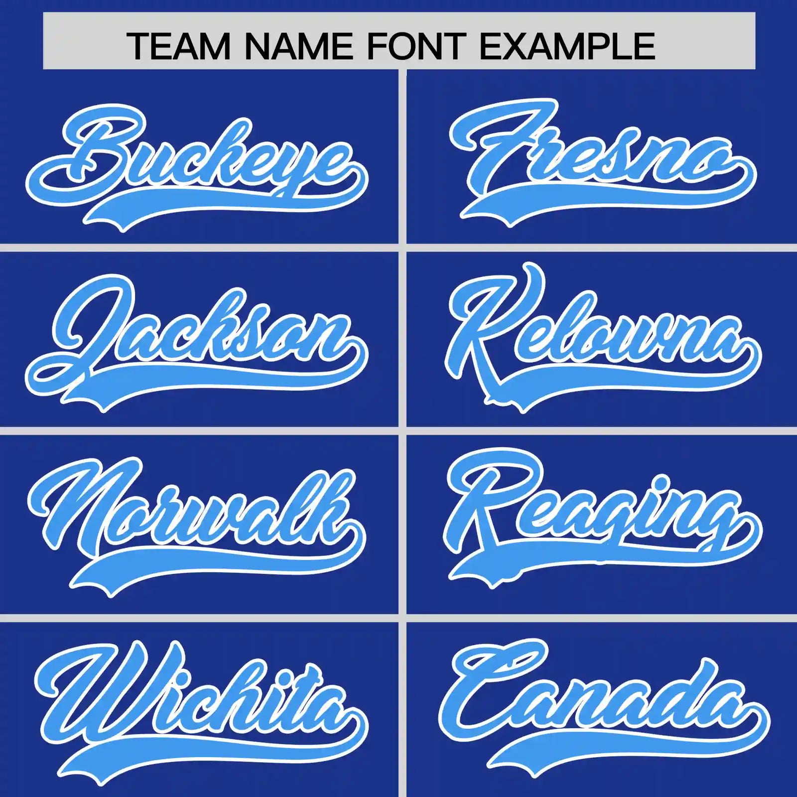 Custom Royal Blue Powder Blue-White Performance T-Shirt