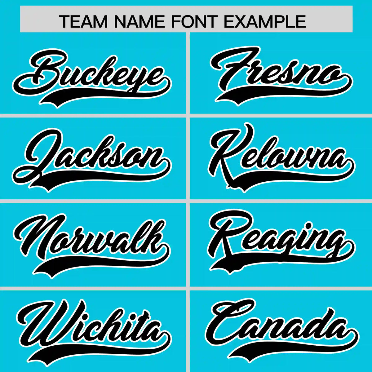 Custom Sky Blue Black-White Performance T-Shirt