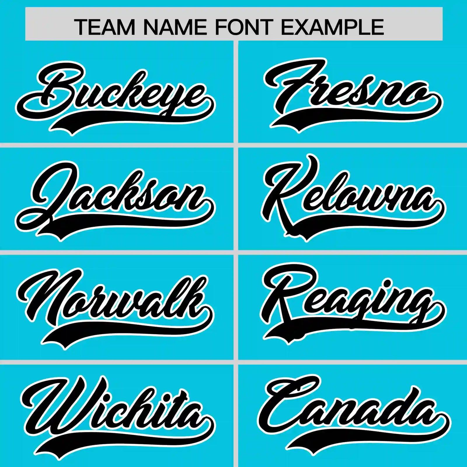 Custom Sky Blue Black-White Performance T-Shirt