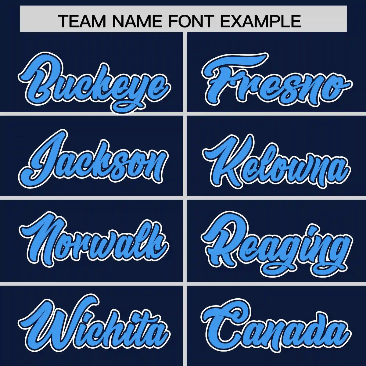 Custom Navy Powder Blue-White Performance T-Shirt