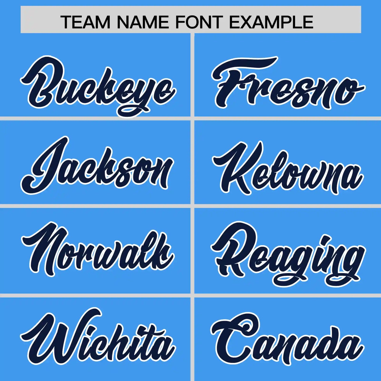 Custom Powder Blue Navy-White Performance T-Shirt