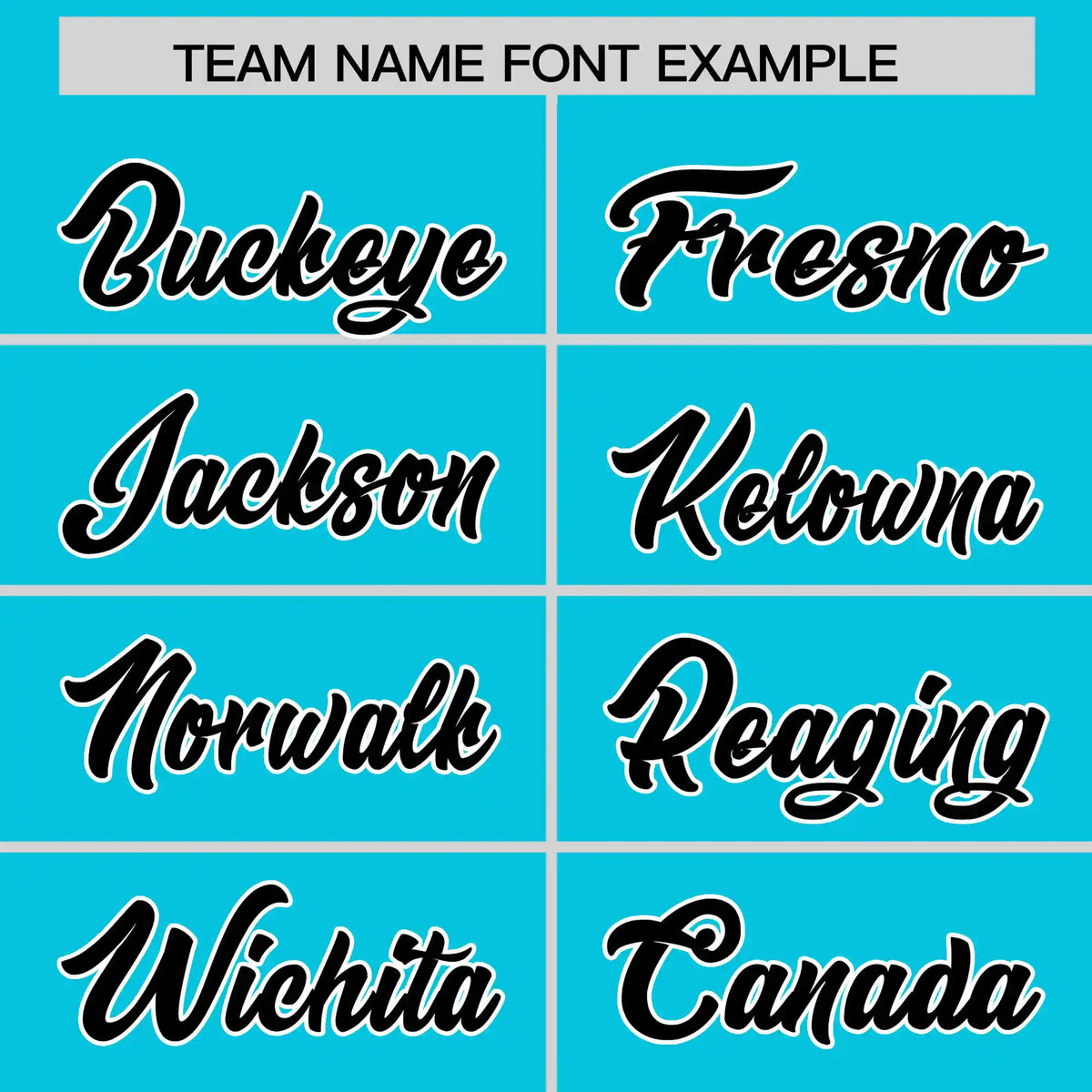 Custom Sky Blue Black-White Performance T-Shirt