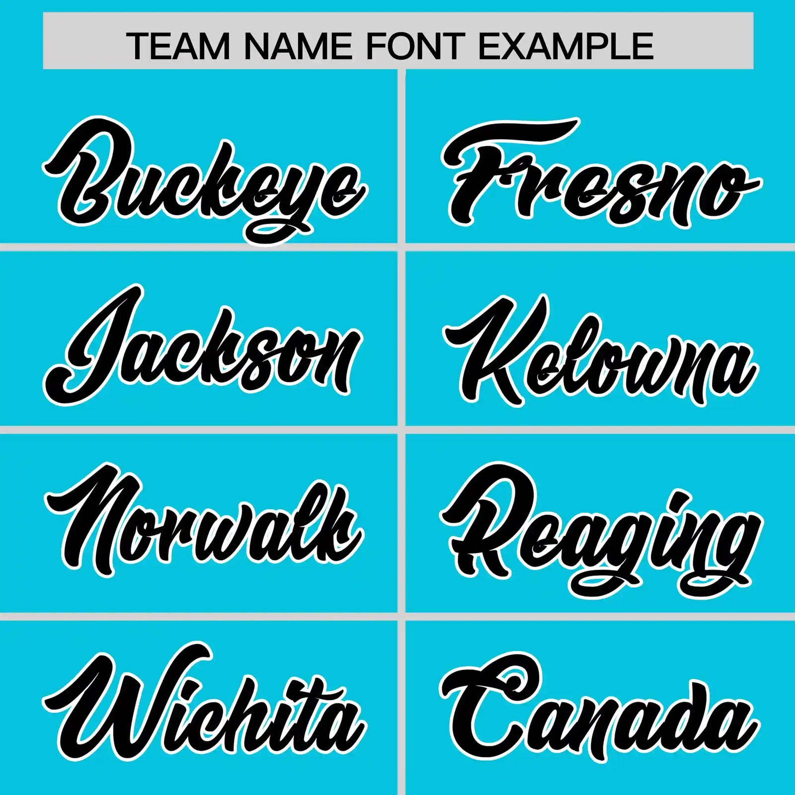 Custom Sky Blue Black-White Performance T-Shirt