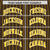 Custom Brown Gold01-Gold01 Pinstripe Pattern Design Performance T-Shirt